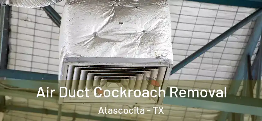 Air Duct Cockroach Removal Atascocita - TX