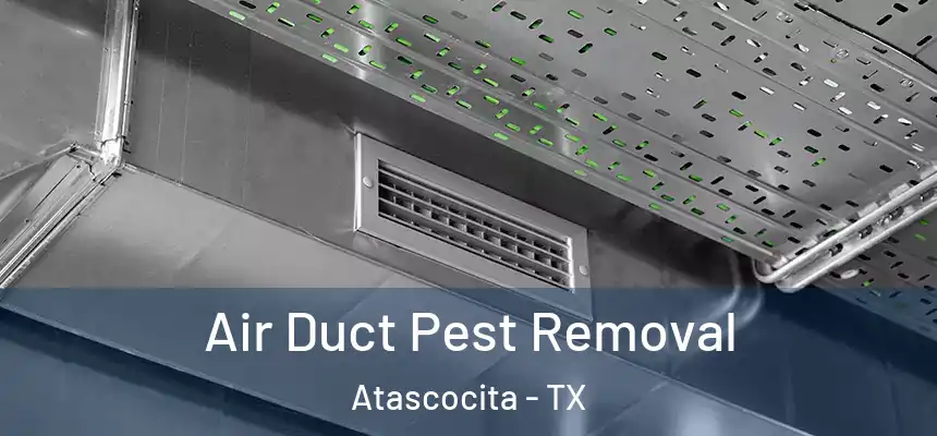 Air Duct Pest Removal Atascocita - TX