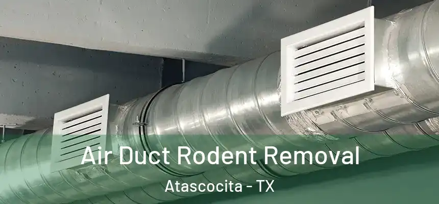 Air Duct Rodent Removal Atascocita - TX