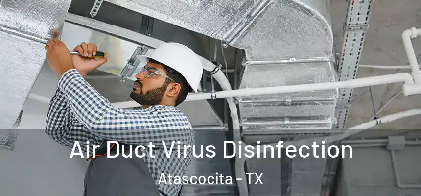 Air Duct Virus Disinfection Atascocita - TX