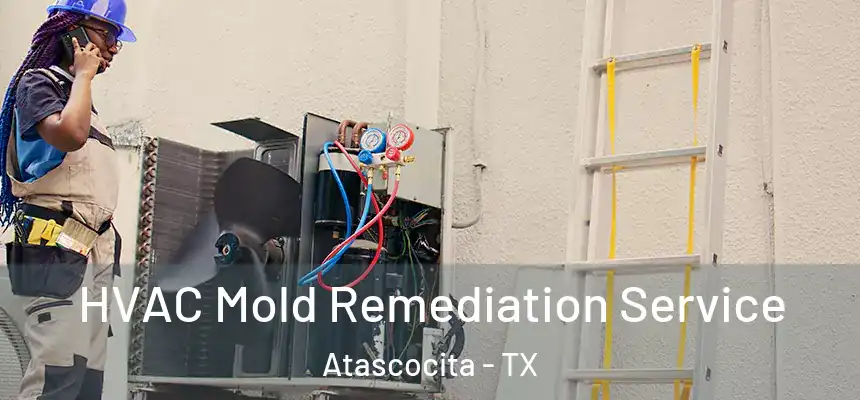 HVAC Mold Remediation Service Atascocita - TX