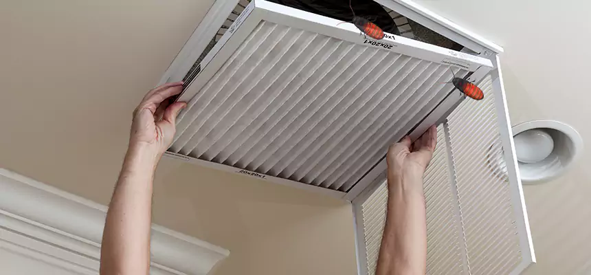 Preventive Cockroach-Proofing for Ducts in Atascocita