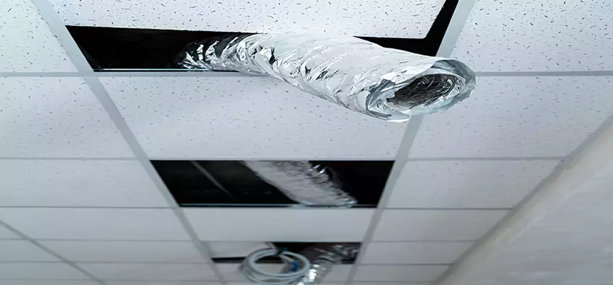 Our Air Duct Pet Hair Removal Services in Atascocita, TX