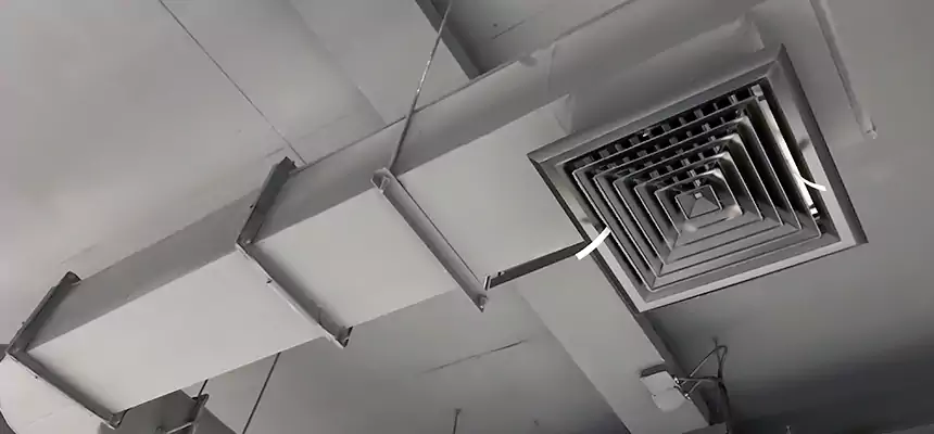 Our Pest Removal From Ducts Services in Atascocita, TX