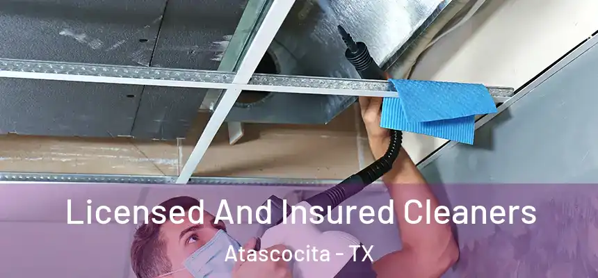 Licensed And Insured Cleaners Atascocita - TX