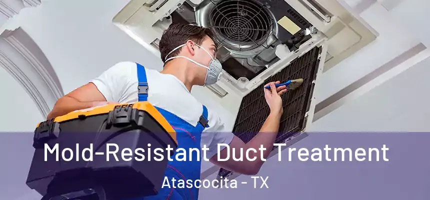 Mold-Resistant Duct Treatment Atascocita - TX