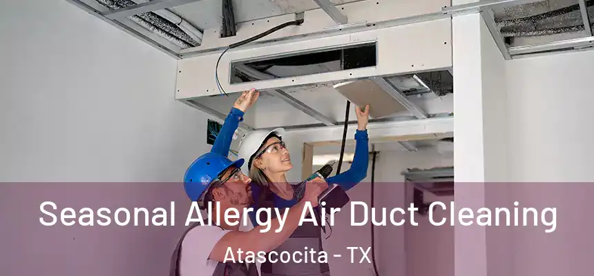 Seasonal Allergy Air Duct Cleaning Atascocita - TX