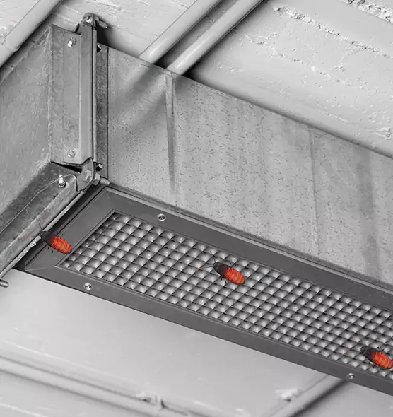 About Air Duct Cockroach Removal in Atascocita, TX