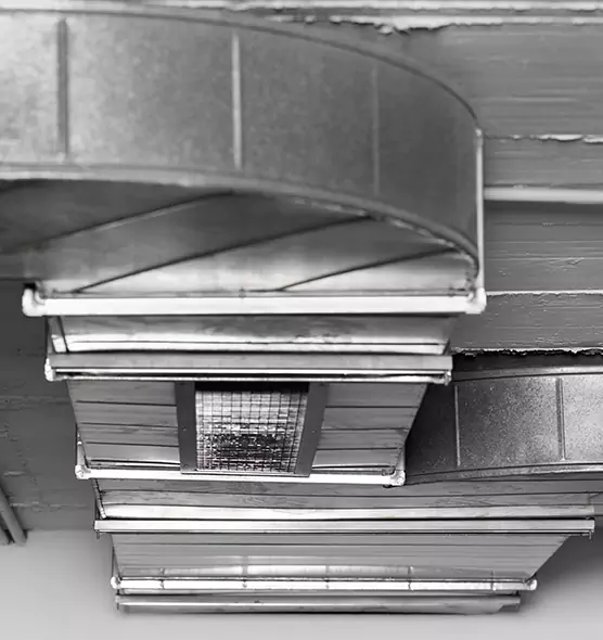 Professional Air Duct Pest Removal in Atascocita, TX