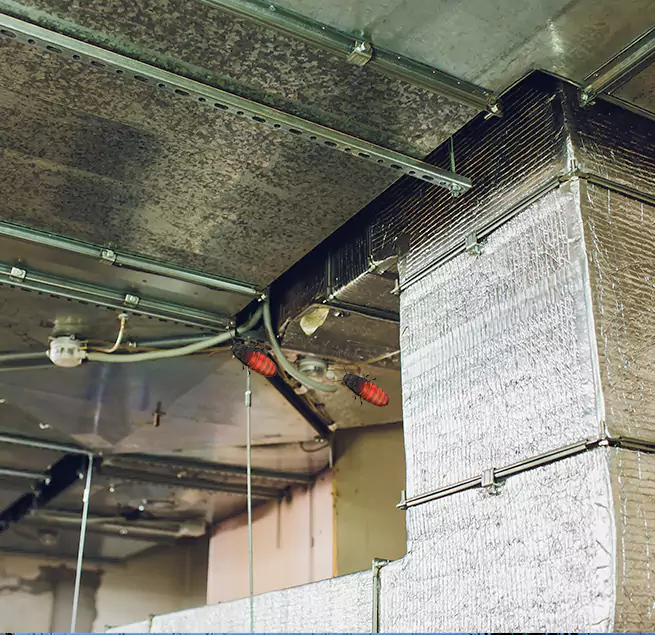 Why Homeowners & Businesses Trust Us Atascocita, TX?