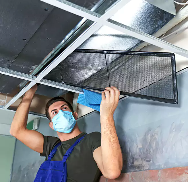 Why Homeowners Businesses Trust Us in Atascocita, TX